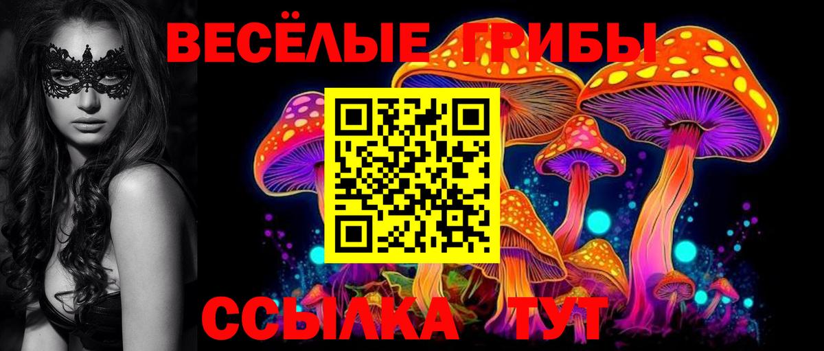 Югорск  Псилоцибиновые грибы Psilocybine cubensis  Вход с VPN 